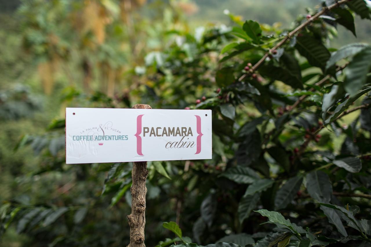 La Palma y El Tucan Coffee&Adventure Hotel Zipacon Exterior foto