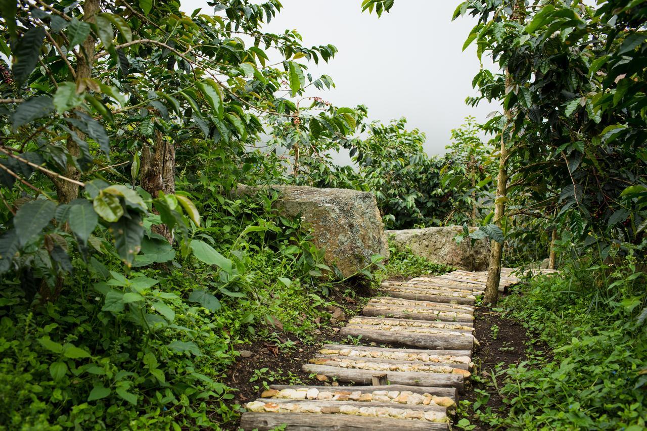 La Palma y El Tucan Coffee&Adventure Hotel Zipacon Exterior foto